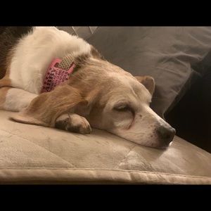 Meet your Posher, Brynn